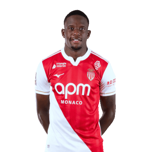 Denis Zakaria